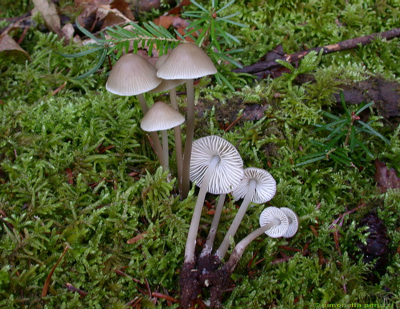 Escursione  in terra di Siena